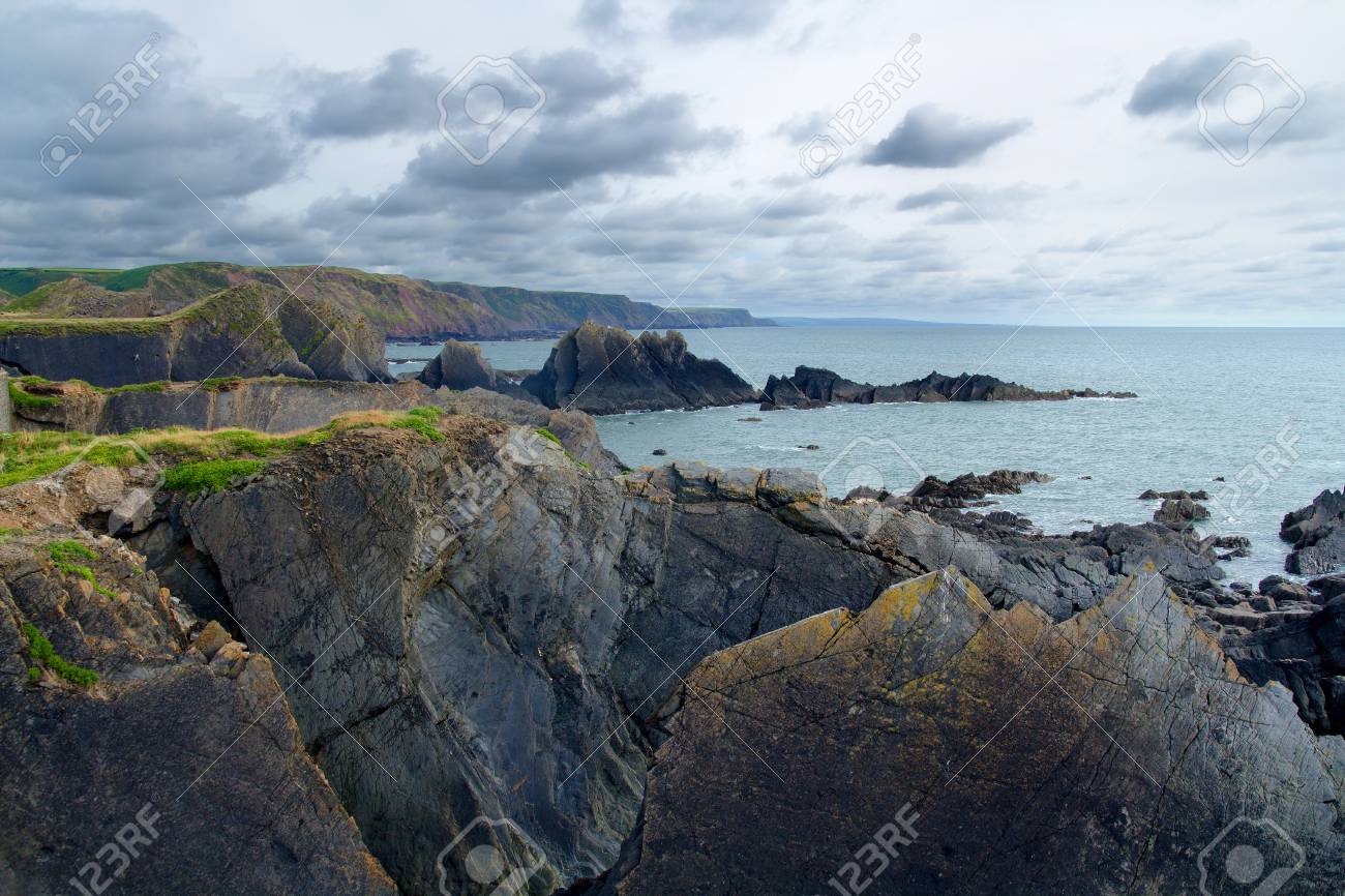 ビンテージ イギリス デヴォンシャー 花器