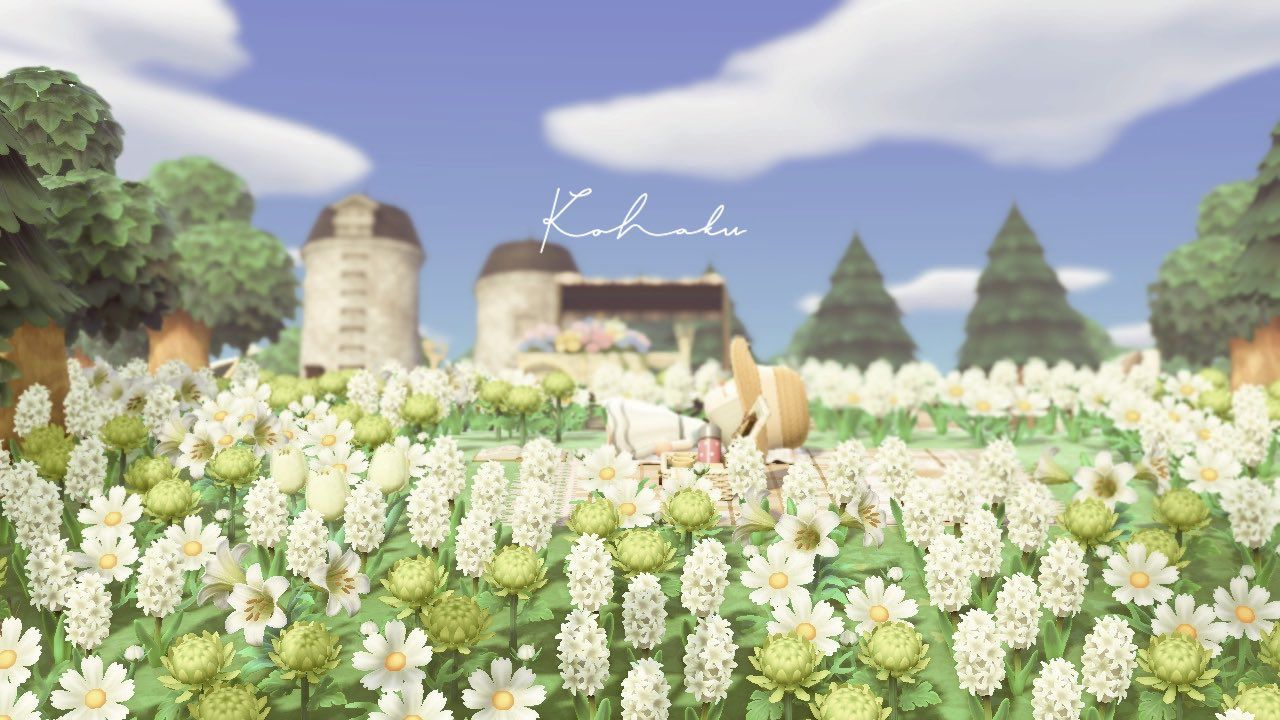 ナチュラルかわいい島づくりの花畑とマルシェ