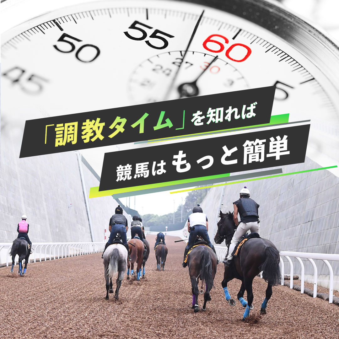 新馬調教の方法 - 柏エリアの乗馬クラブ 馬に優しい乗馬クラブ