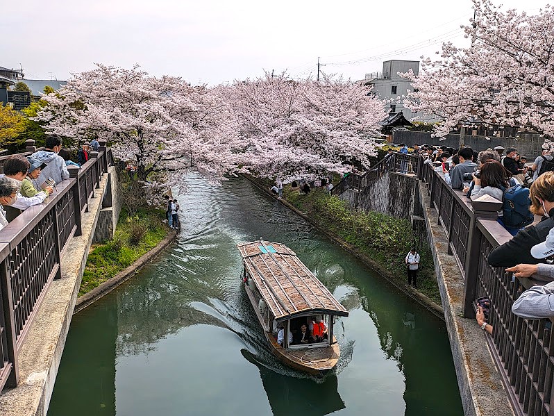 伏見であい橋 -京都府 の詳細情報ことりっぷ