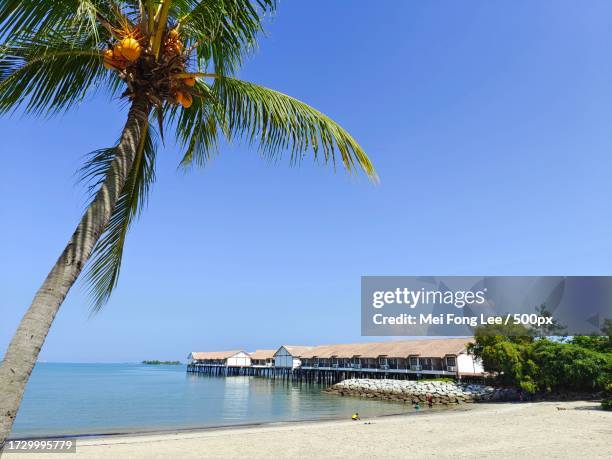 2025年最新 マレーシアのおすすめリゾート10選！定番から穴場までNEWT ニュート