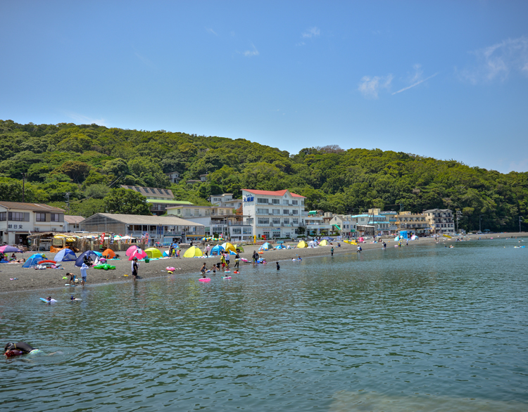 大瀬崎・海水浴・ダイビング・宿・大瀬海浜商業組合