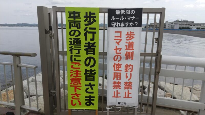 コウイカ沸いてます！館山湾夕日桟橋2024.9 23.24ｂｙ館山雑魚釣り