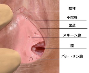 笑顔をまたこの場所で。 | 【公式】南三陸ホテル観洋