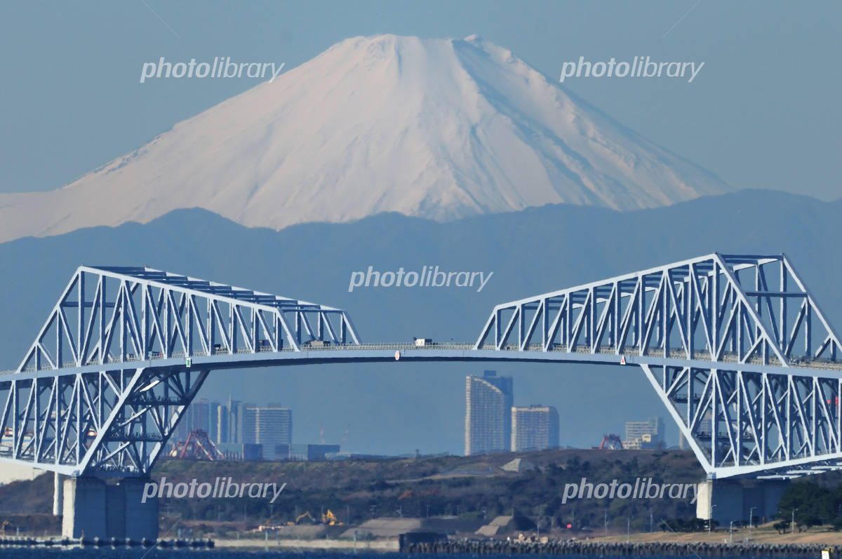 クルマ通をうならせた都心No.1ドライブコース！ 一度は行きたい「東京ゲートブリッジ」の魅力に迫る - ECナビ