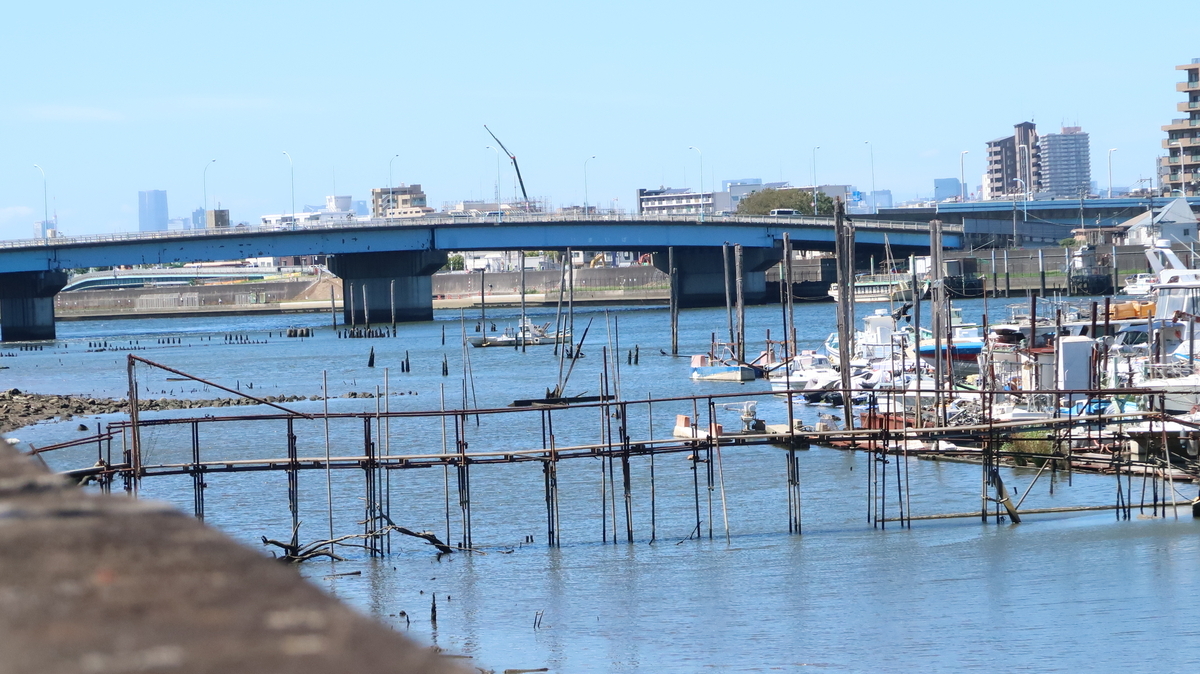 今井橋からみた旧江戸川 360度写真による空間アーカイブ- 江戸川フォトライブラリ
