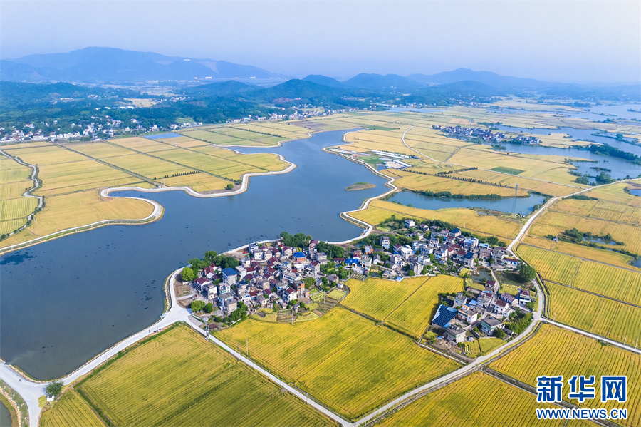 艺创乡村共富路——安徽省芜湖市湾沚区花桥镇横岗社区鸠兹湾共富乡村简介