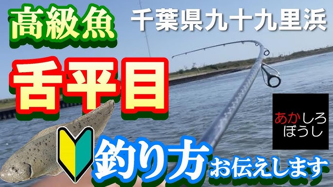 千葉県九十九里 でのシタビラメ釣り 一宮川・限定 簡単な舌平目の釣り方をお伝えします