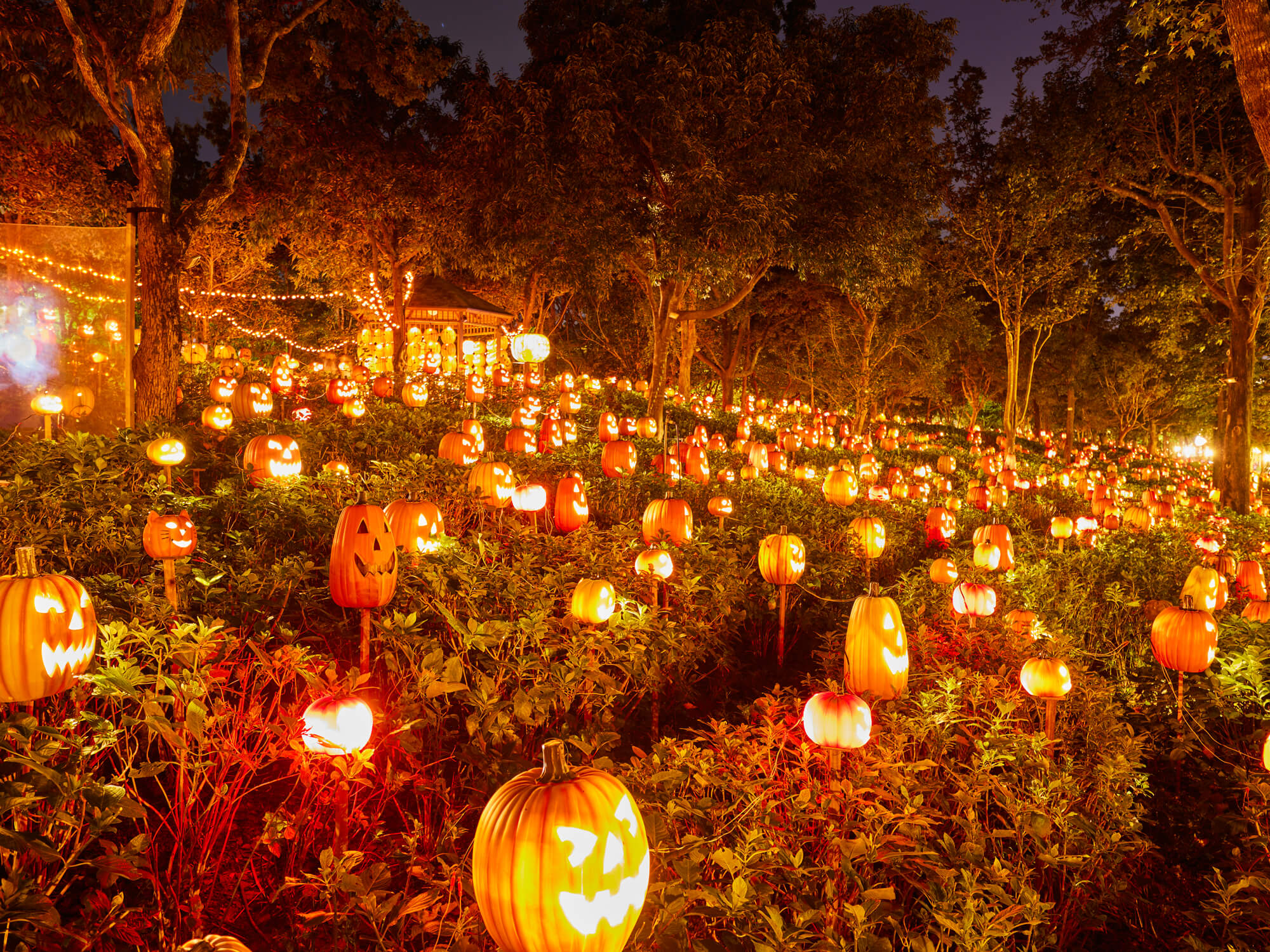 見渡す限りのパンプキンカラー！秋のハウステンボスは“映えハロウィーン”で見どころ・撮りどころがいっぱいです 長崎