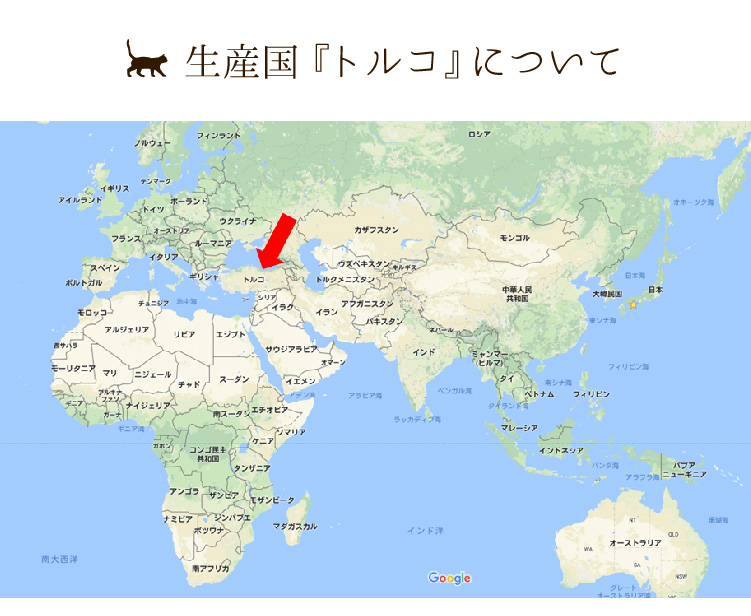 地球儀はトルコのイスタンブールを中心に展開した。 世界地図上でのトルコの位置と、他の主要都市との関係を示すイスタンブールのベクター画像地図。デジタル編集と印刷に適した地図」のベクター画像素材 ロイヤリティフリー1915625299Shutterstock