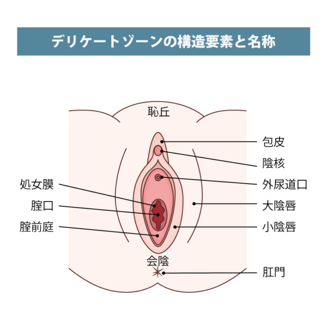 あそこの大きさの秘密！男性の身長とペニスのサイズの関係/ラブナイト【恋本コラム】