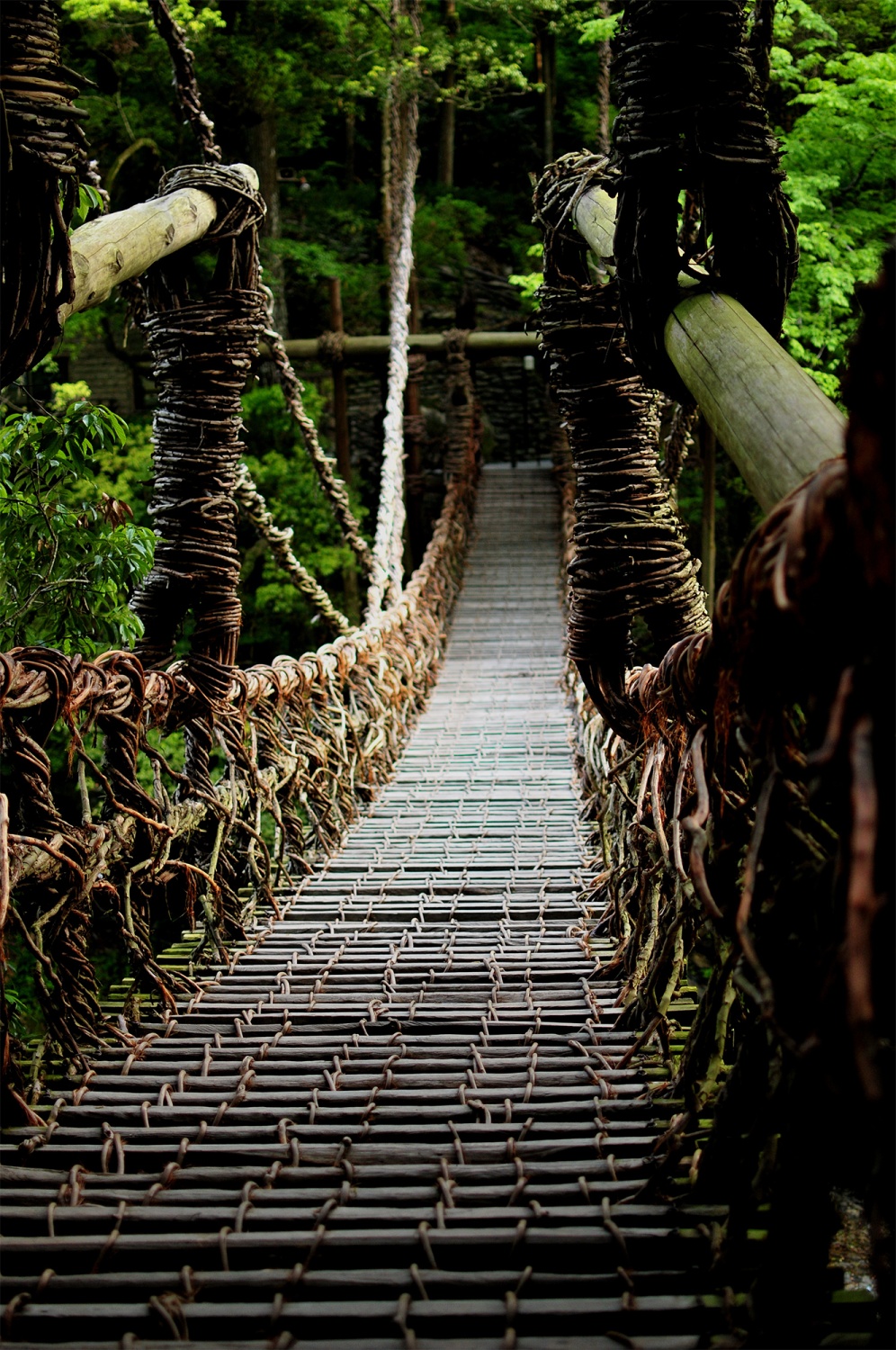福井県・池田町-かずら橋