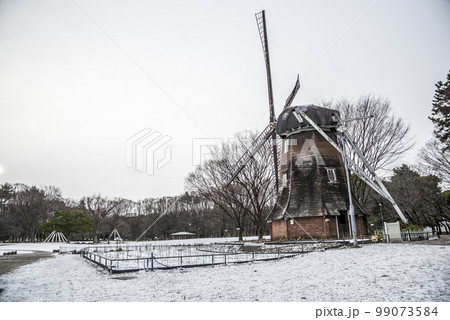 愛知県》名古屋市 雪の名城公園の写真素材 [99073584]