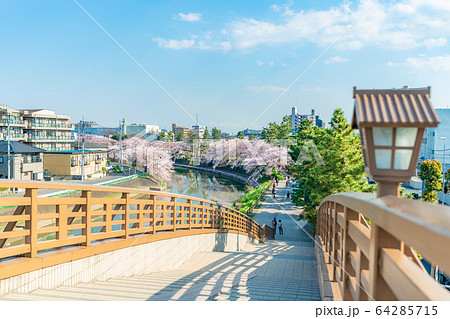 芭蕉の道： 2 草加 川沿いの松原 爽快な雰囲気写真特集1