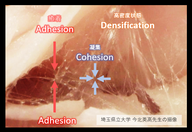 推拿(すいな)】『手法の漢字の意味』−実践推拿症状改善シリーズ①−|東京都中野区 推拿整体院 すいな健康院 |