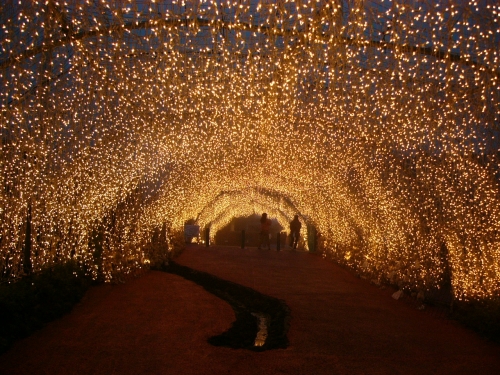 熊本で楽しむ夜のデートスポットとグルメガイド2025 年のリアルなLemon8ユーザー体験