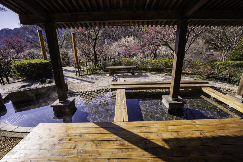 磐梯熱海駅前足湯 - 郡山ニフティ温泉