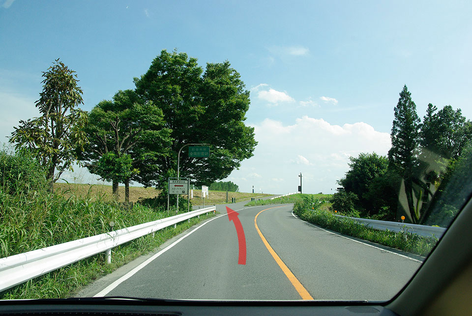 道の駅 かぞわたらせ 渡良瀬遊水地 1周 ウォーク