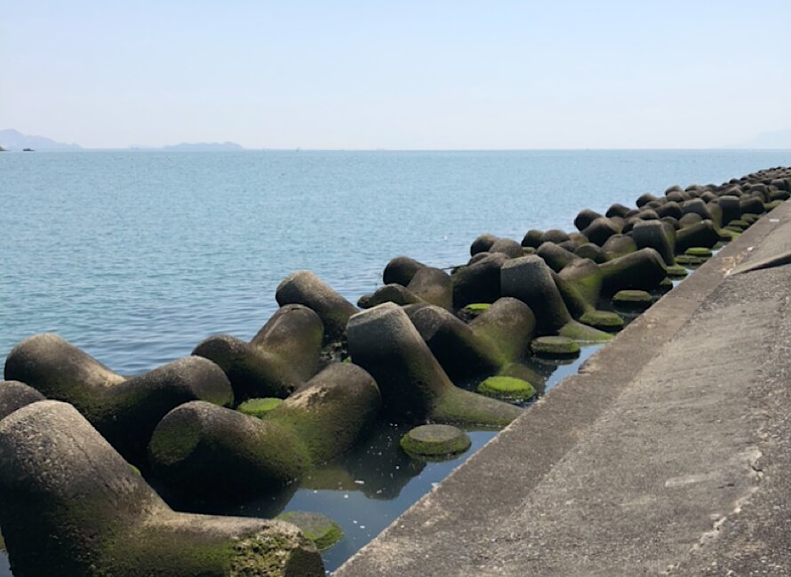テトラポットの隙間に餌を垂らすと ,釣り 釣り女子
