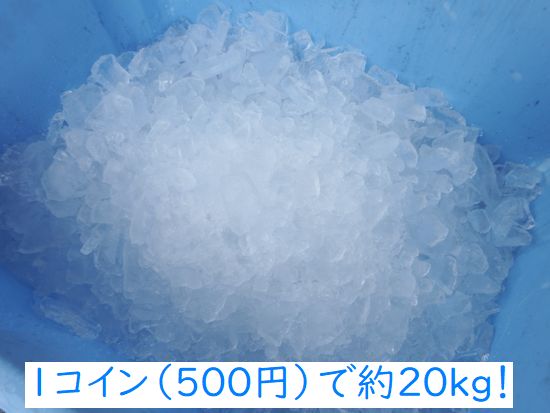 和歌山県、旬の魚を訪ねて漁港巡り健康と美活に栄養満点のカツオ昨年に続いて今年も豊漁 - LIVING和歌山