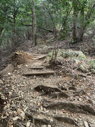 宝塚にある竜王山の登山道にある馬の背の写真素材115241420- PIXTA