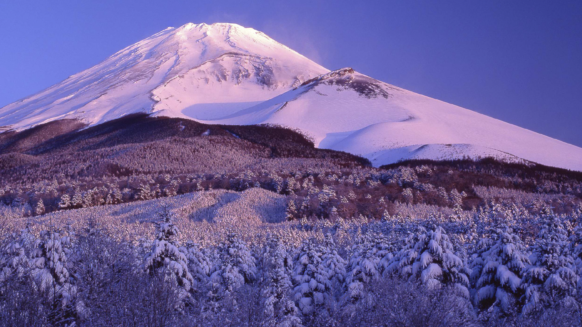 富士市富士山ライブカメラ：メイン