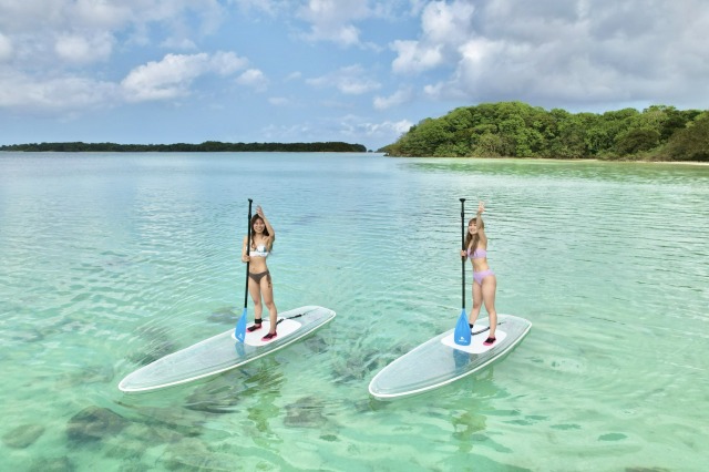 石垣島サップ SUP ツアー透明な海で楽しむ絶景アクティビティ