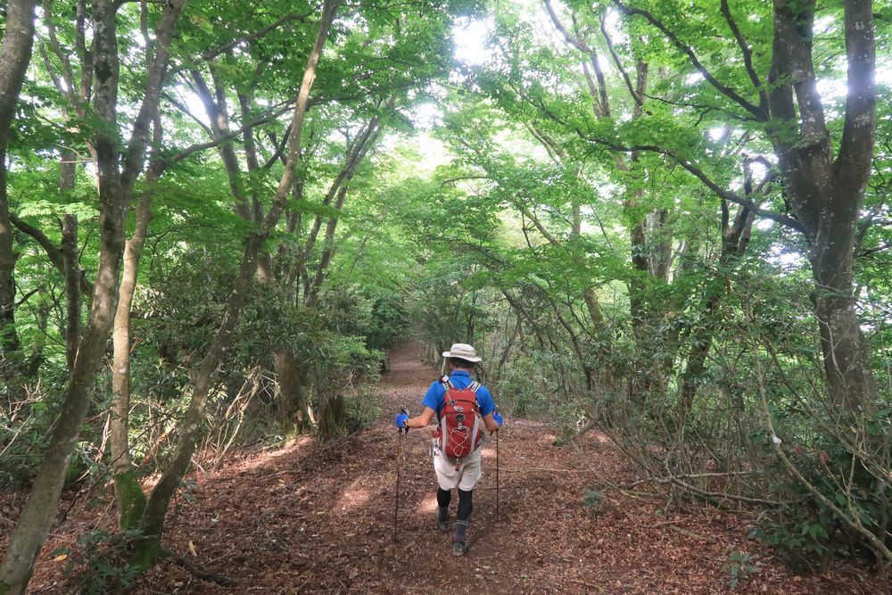 蘇洞門めぐりさゆみ9604が投稿したフォトブックLemon8