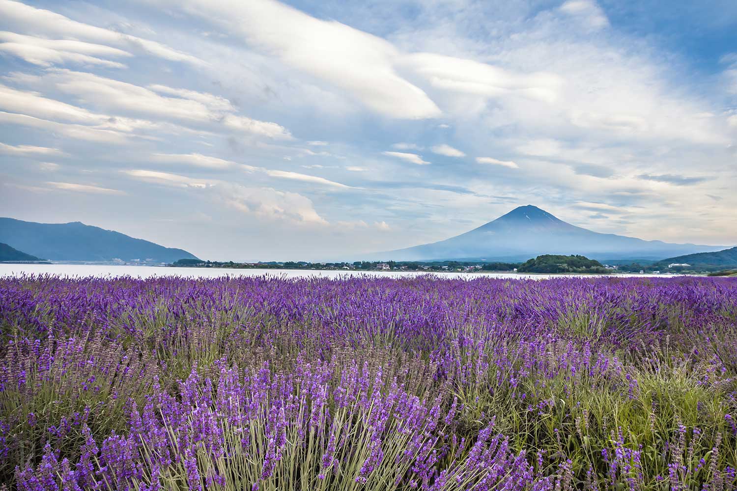 富士桜工房の直営ショップが「富士大石ハナテラス」にオープン！山梨ハタオリ産地の今を伝える ハタオリマチのハタ印