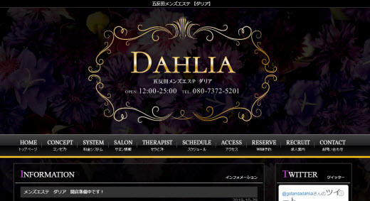 公式】五反田 メンズエステ DAHLIA