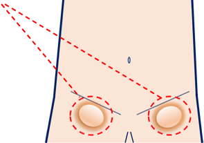 奈良市パーソナルトレーニングジム/ 男性のダイエット、筋トレで綺麗な姿勢で動ける身体をつくろう！！ | 奈良体幹パーソナルトレーニングジム |