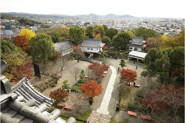 犬山城お花見スポット紹介
