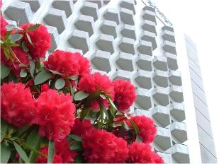 ホテルスプリングス幕張プレミア 2024年9月開業 の宿泊予約はRelux リラックス