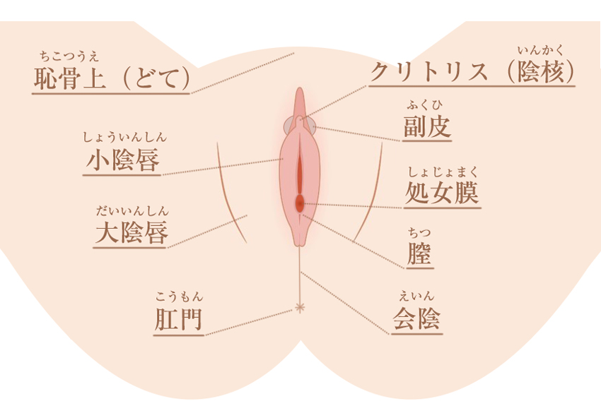 手マンにおいて指でポルチオ触るべきか？ - トーリー佐藤の愛の脳イキとポルチオセックスによる中イキ