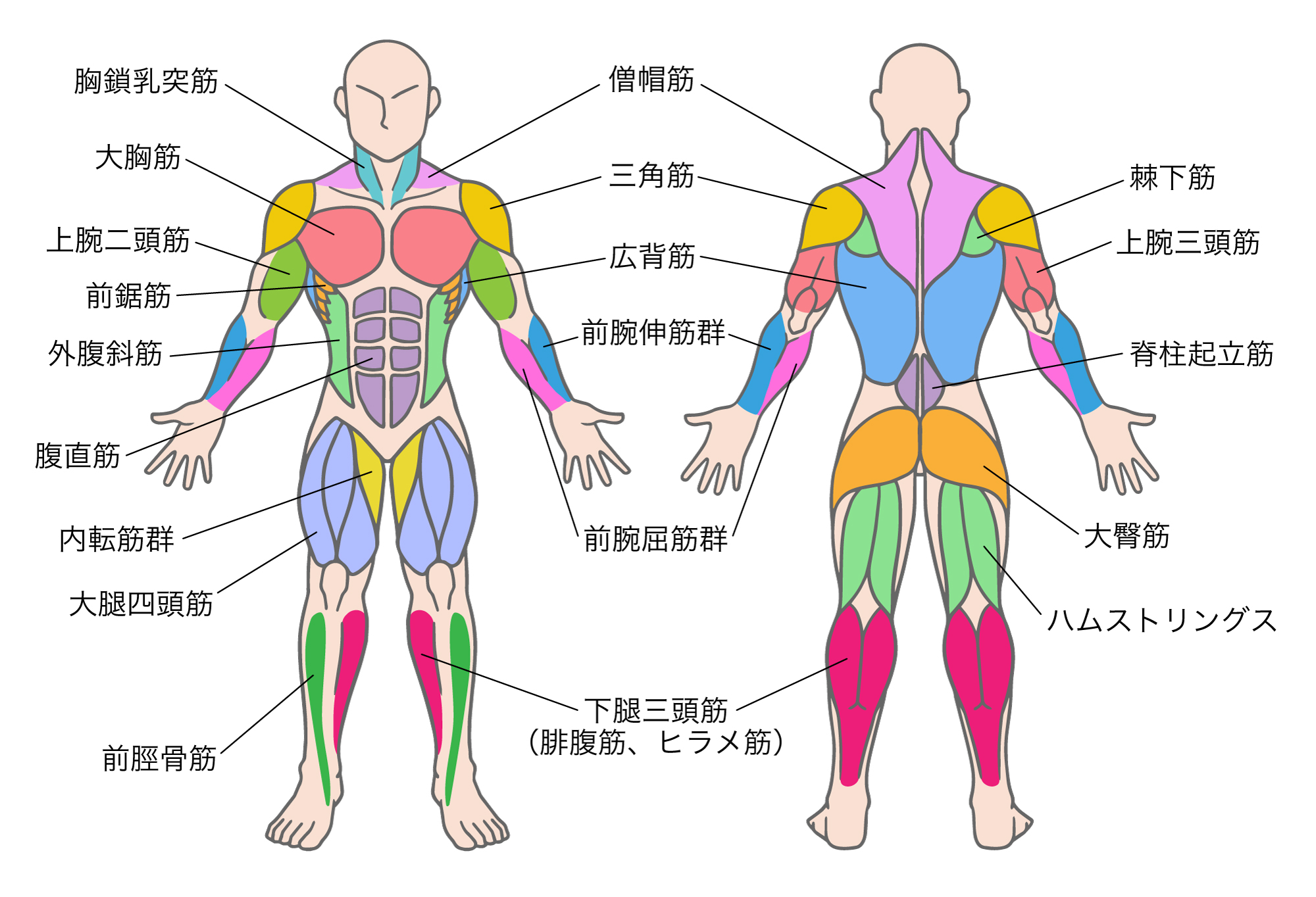 Amazon.co.jp: オナ禁7日間で咆哮せよ: テストステロンと筋トレでモテる無双を体感 : ちゅよくん,