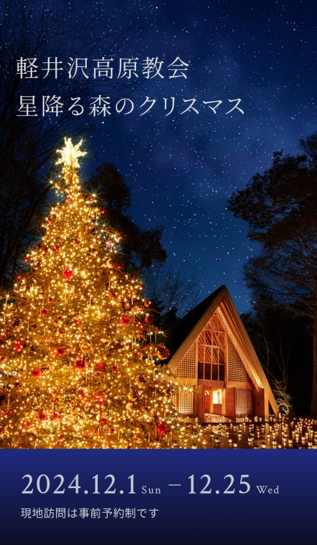 軽井沢～松原湖花火大会』軽井沢 長野県 の旅行記・ブログ by ゆずぽんずさん