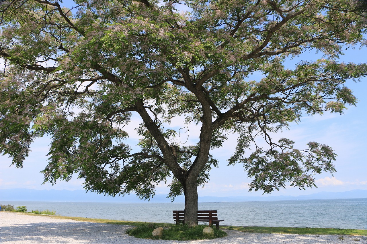 SNSで話題の「あのベンチ」に行ってきました♪ - カイザーベルク びわ湖ツーリングをサポートするレッドバロン