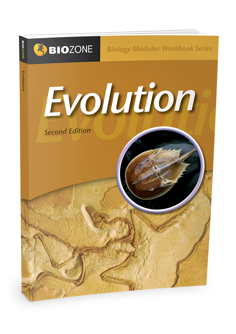 Evolution 2nd Edition +