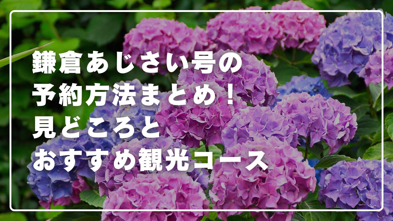 鎌倉の紫陽花・あじさい・アジサイ散策 北鎌倉駅起点