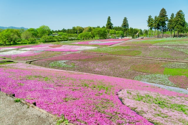 ゴールデンウィーク GW 旅行の穴場スポット 関東