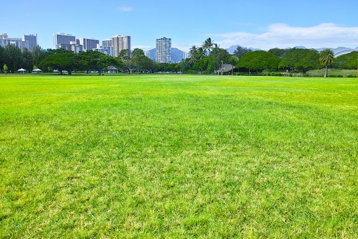 カピオラニ・パーク カピオラニ公園ハワイナビ