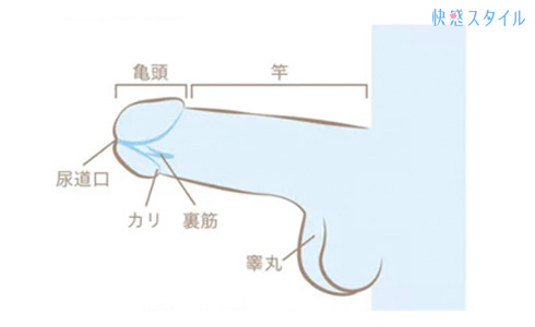 間違った自慰行為（オナニー）はEDや射精障害を招く！【医師監修】 | 新橋ファーストクリニック【公式】