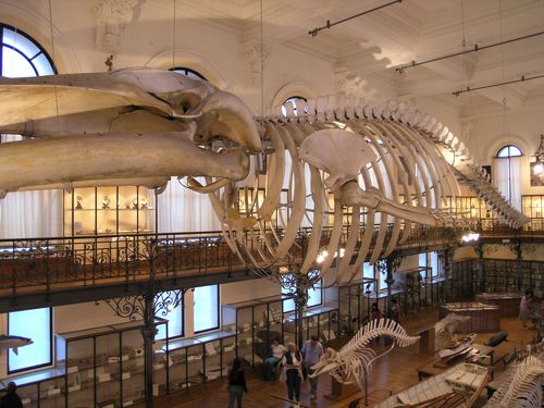 979 関東地方 High