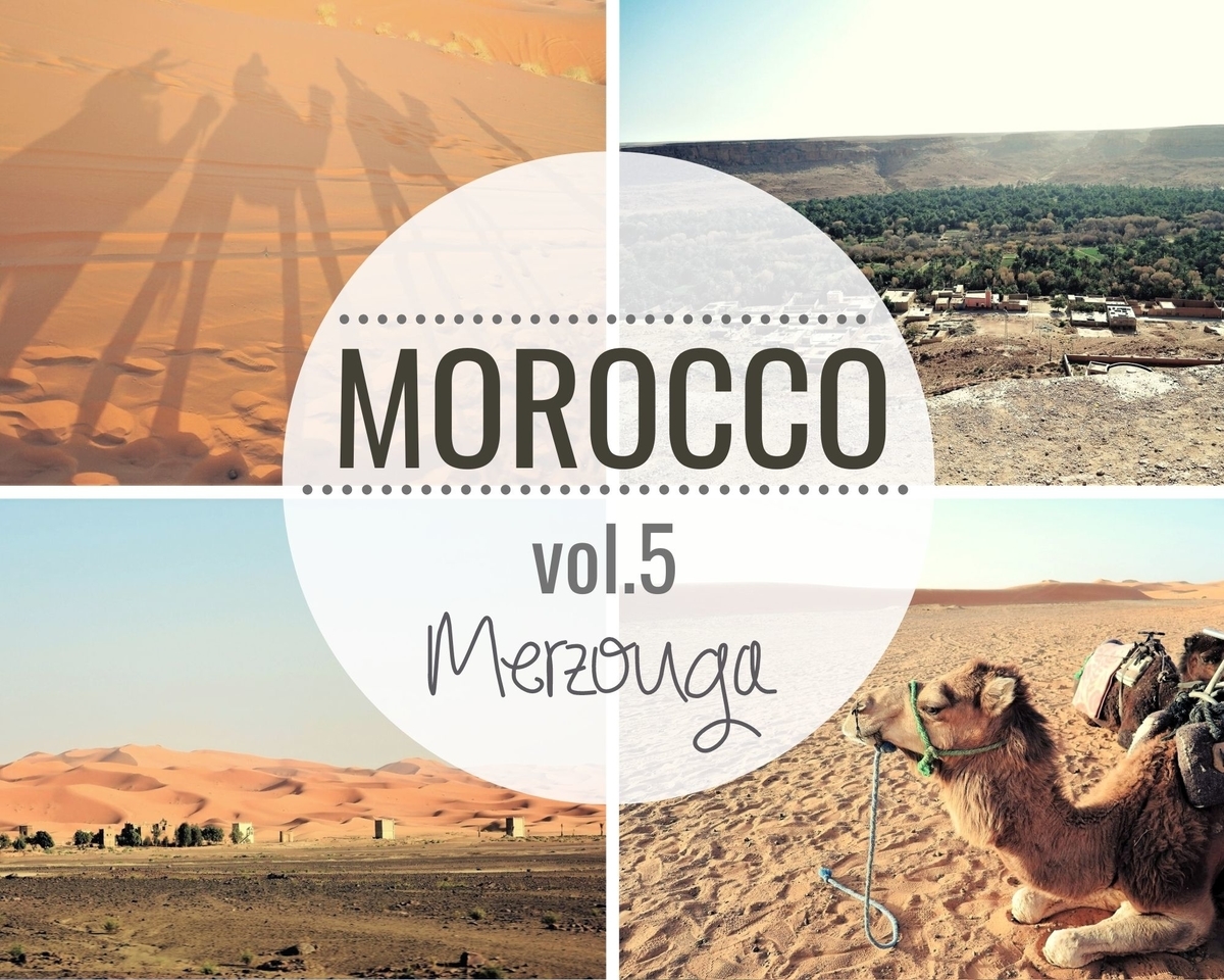 砂漠ツアー🏜️モロッコアガファイ砂漠クワッドバイクラクダ タジン鍋砂漠と猫砂漠ツアー最高すぎたファイヤーショーモロッコ最高旅行好きな人と繋がりたい