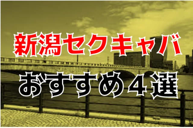 新潟発のセクキャバ・いちゃきゃば求人[新潟ナイトナビ求人 - ナイトワーク]