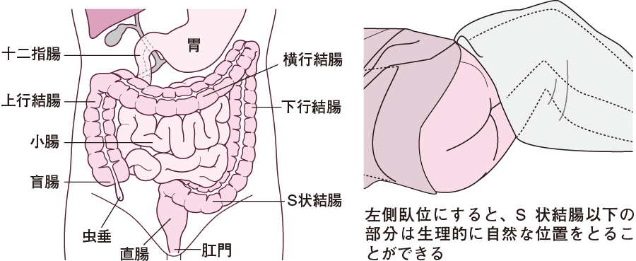 楽天市場】もみ殻・木粉・藁 和調 ベージュ