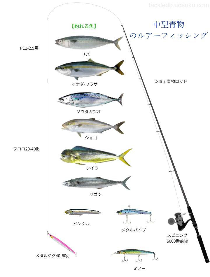 エギング撃沈なんこくまほら