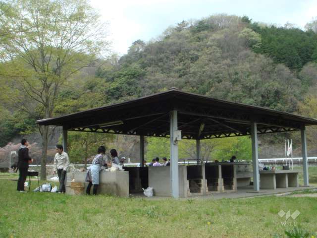 琵琶湖でバス釣り 知内浜キャンプ場琵琶湖おかっぱりポイント