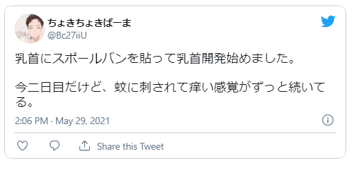 偽りなしで男の俺が乳首開発の感想を語る - キチオタ日記