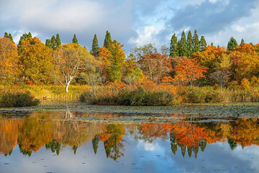 妙高高原を走った川中島バスmorisaketen.com